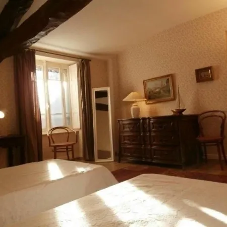House La Maison Louis D'amboise * Albi